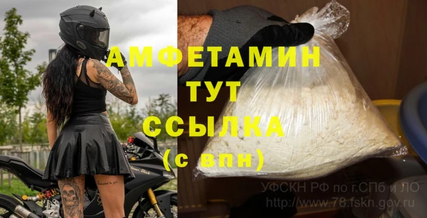 крисы Алзамай