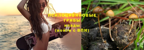 спиды Алексеевка